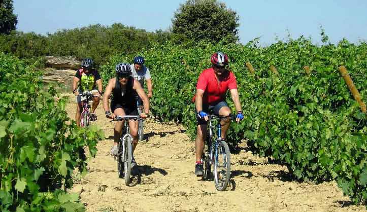 ¿Vino y deporte? Pues sí