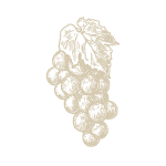 proceso elaboración 1