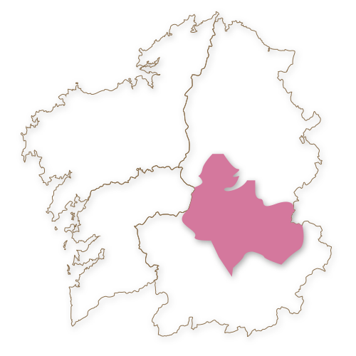 mapa-rectoral