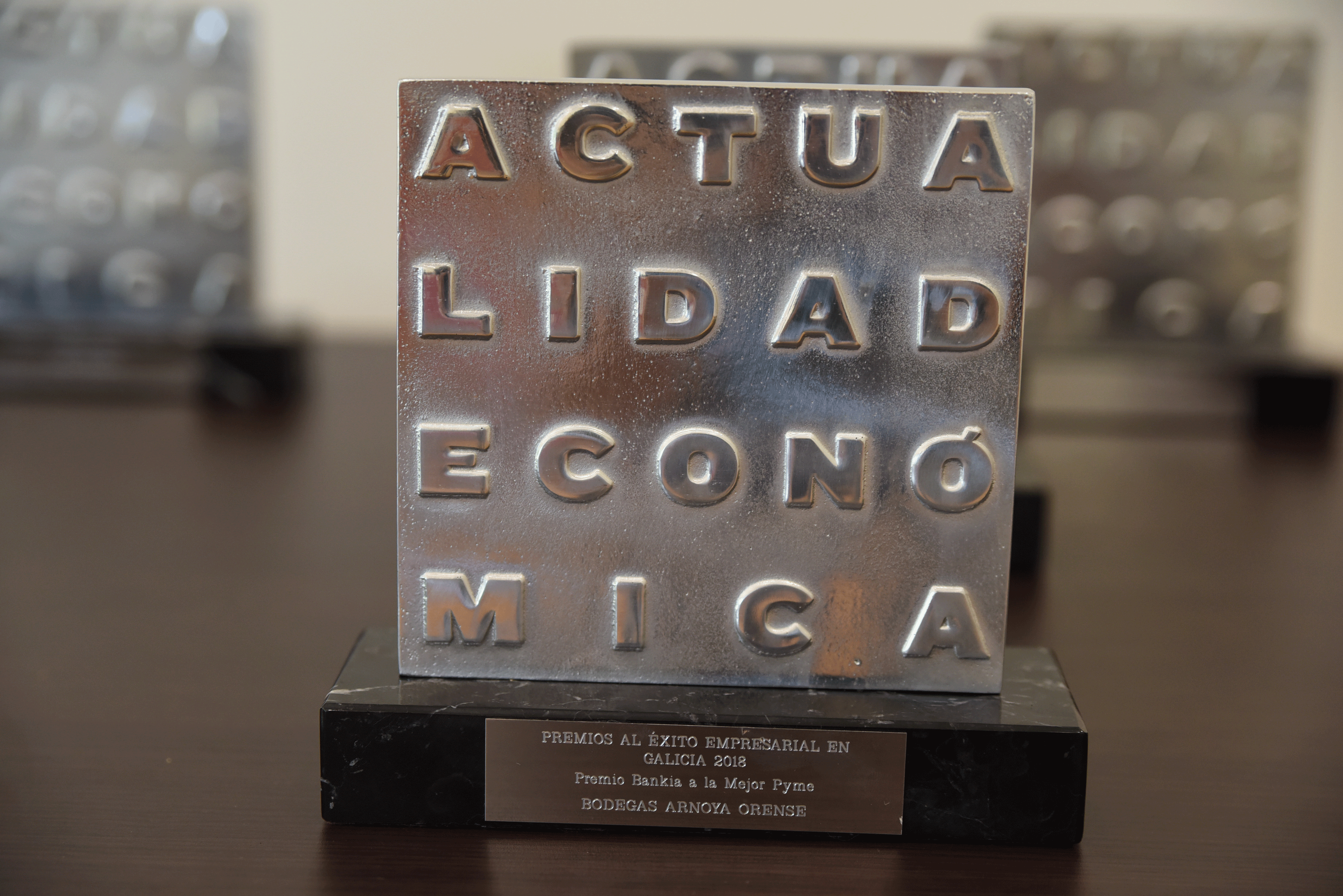 Premio Bodegas Gallegas