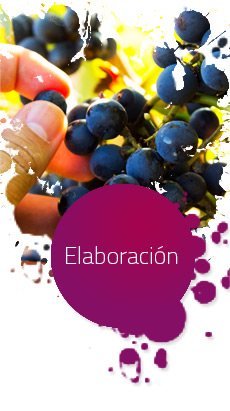 Proceso Elaboracion