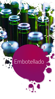 Proceso Embotellado