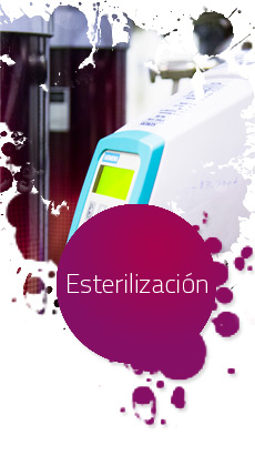 Proceso Esterilizacion